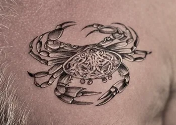 tatuaje muestra de 20cm